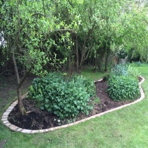 Island border with mowing edge